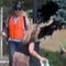 New video emerges of Boulder attack, suspect's family faces deportation