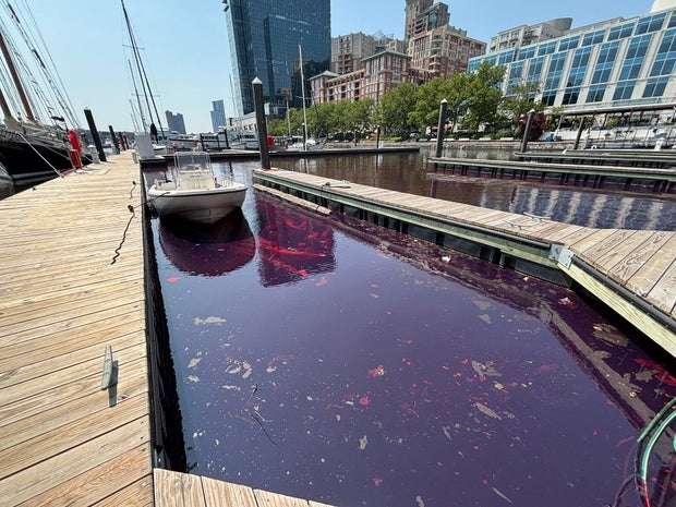 Baltimore Oil Spill Inner Harbor 