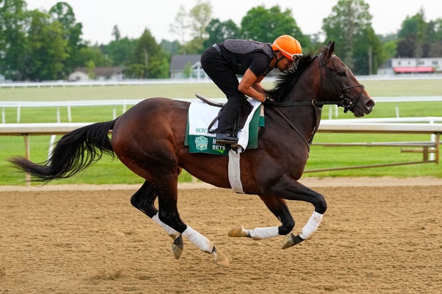Sovereignty breezes during morning workouts on the Oklahoma Training Track at Saratoga Race Course in Saratoga Springs, New York, June 4, 2025. 