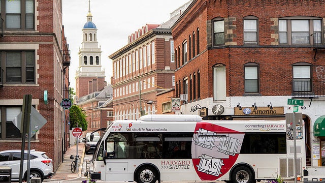 Harvard campus 