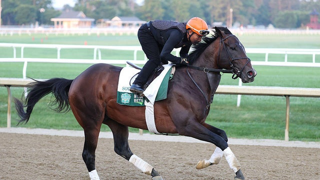 157th Belmont Stakes - Previews 