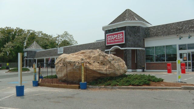 rock1.jpg 