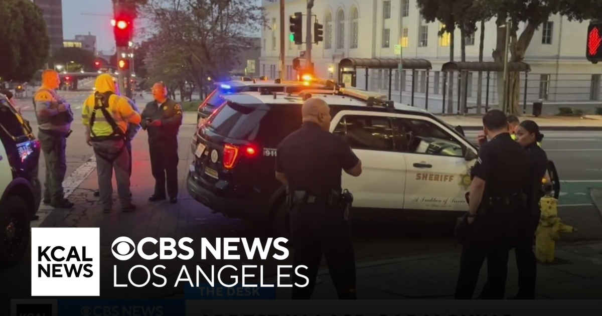 Man arrested for carjacking two LASD deputies in downtown LA - CBS Los ...