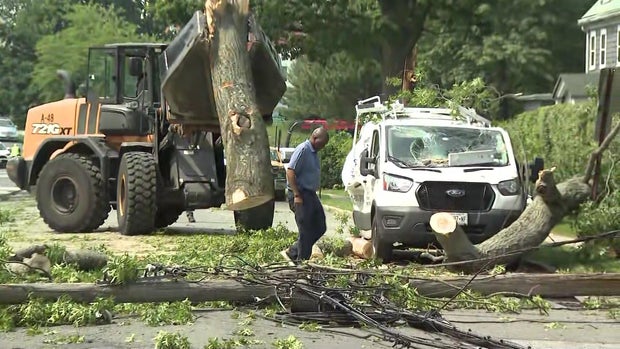 new-rochelle-tree-on-ca-wcbse3zw-hi-res-still.jpg 