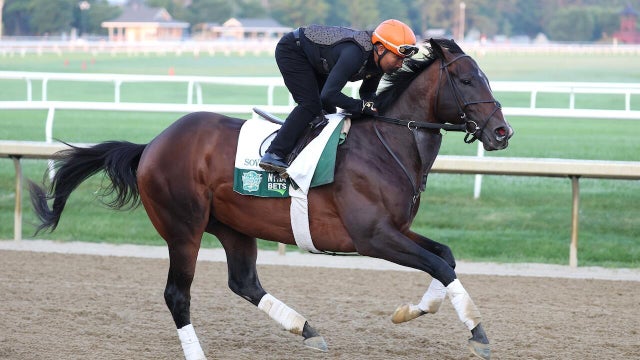 157th Belmont Stakes - Previews 