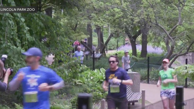 Lincoln Park Zoo Run 