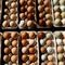 Salmonella outbreak tied to eggs makes dozens sick across 7 states