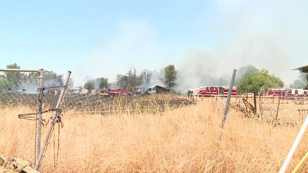 sjg-e-st-vegetation-fire-raw.jpg 
