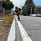 One man's attempt to help bees flourish in San Francisco