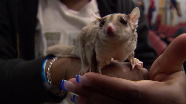 University of Maryland Exotic Animal Class 