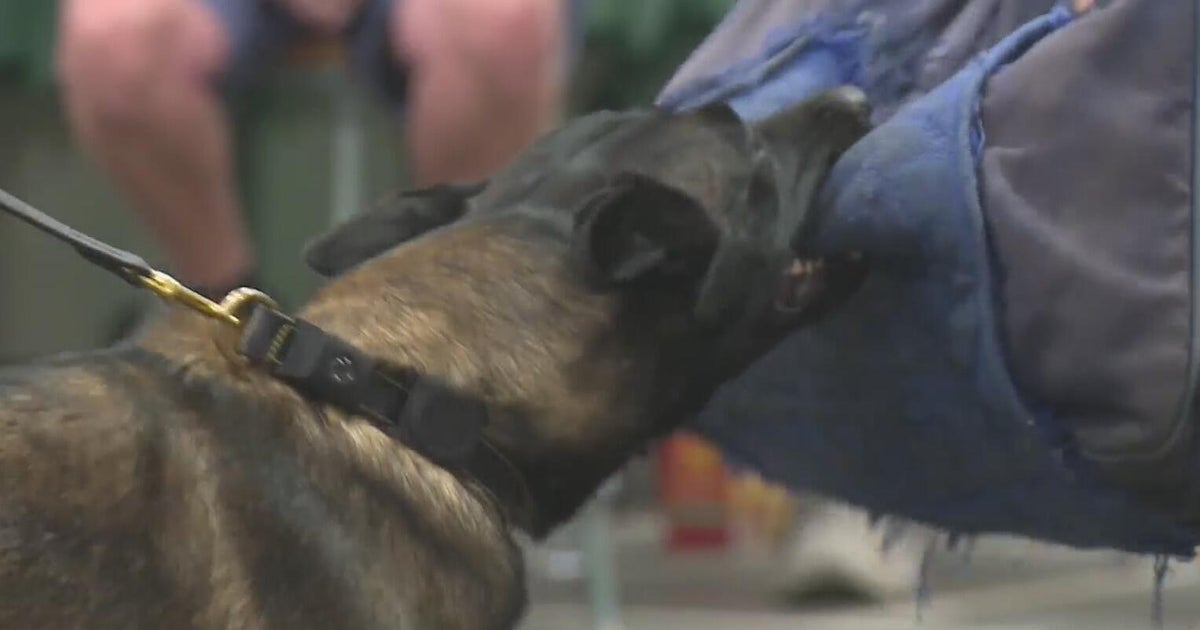 usps-detroit-dog-attack-training.jpg?v=47da7f60d670305b40b7371b438c2af0