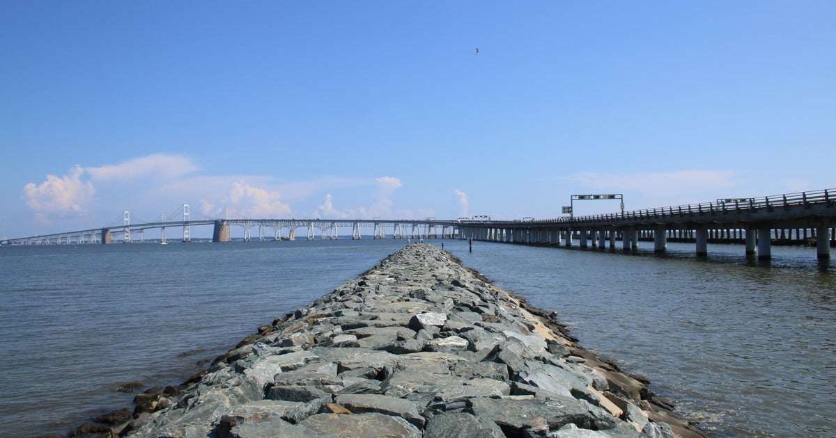 Chesapeake Bay watershed health declined in 2024, report shows 