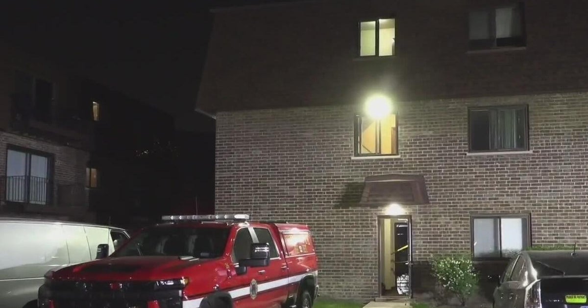1 person dead after fire in north suburban Des Plaines 