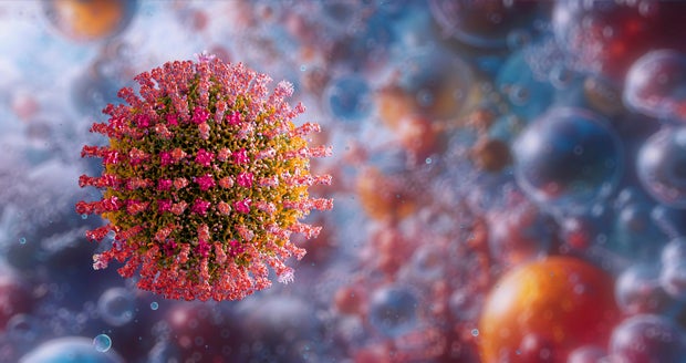 Morbilli measles virus, illustration