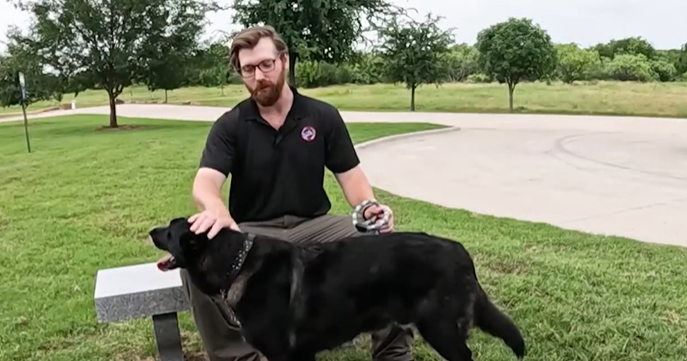 Mailman adopts longtime dog on his North Texas route after owner dies 