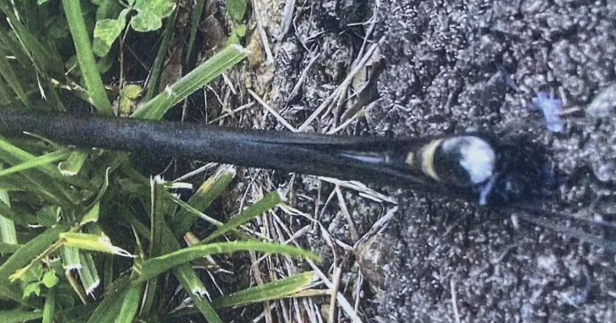 Arrow filled with drugs shot at Fayette County Jail 