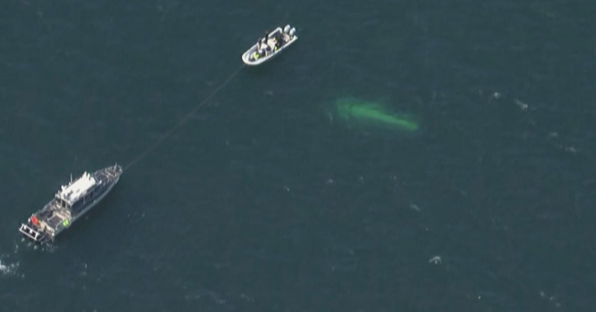 Missing fishing boat found off Cape Cod, 2 bodies recovered 