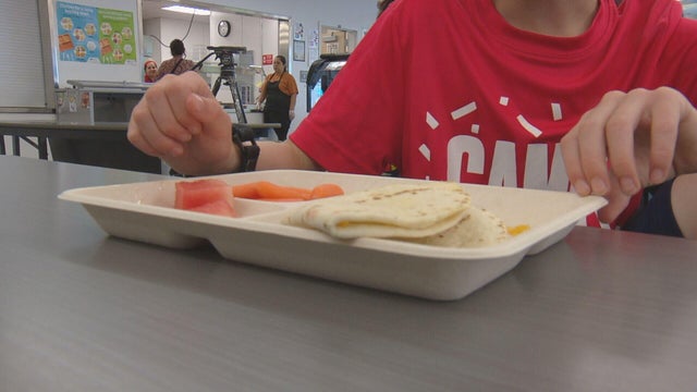 summer-meals-5vo-transfer-frame-745.jpg 