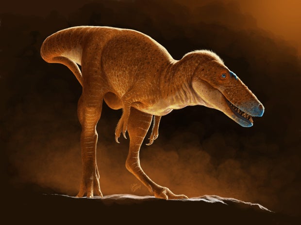 Illustration of the dinosaur species named "Khankhuuluu"