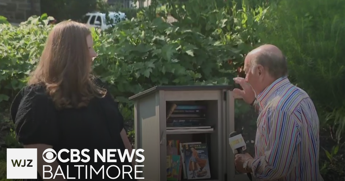 Where's Marty: Little Free Library brings books to Baltimore park - CBS ...