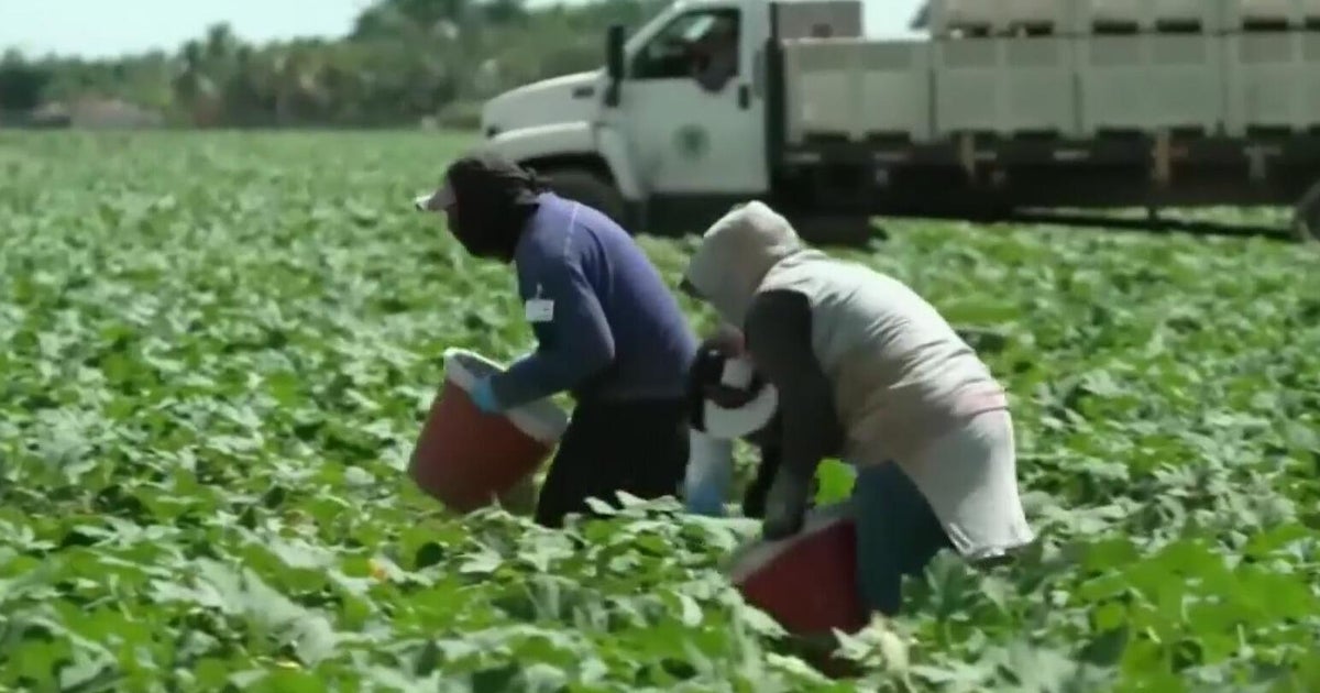 Bay Area farmworkers hope for action as President Trump promises ICE reform 