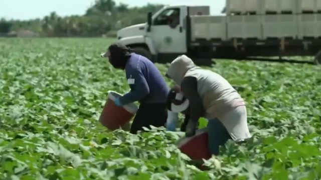 farmworkers.jpg 
