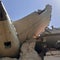What to expect for investigation into deadly Air India plane crash