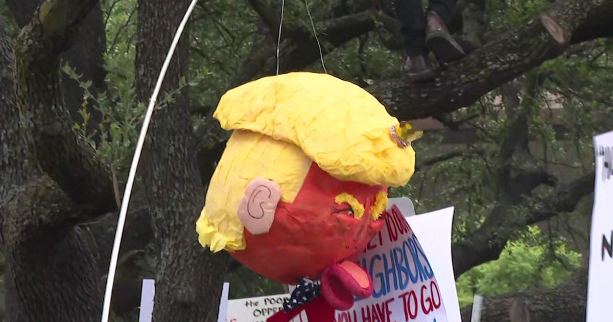 No Kings Protests Draw Thousands Across Multiple US Cities
