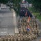 What to know about Trump's Army anniversary parade today