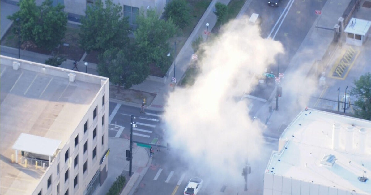 DPD arrests 17 people in connection with "No Kings" protest, police say 