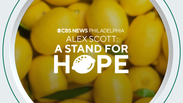 alex-lemonade-front-door-image.png 