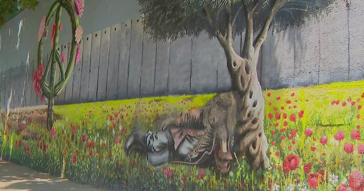 Victims rally for hate crime charges after woman attacks, vandalizes Pilsen mural 