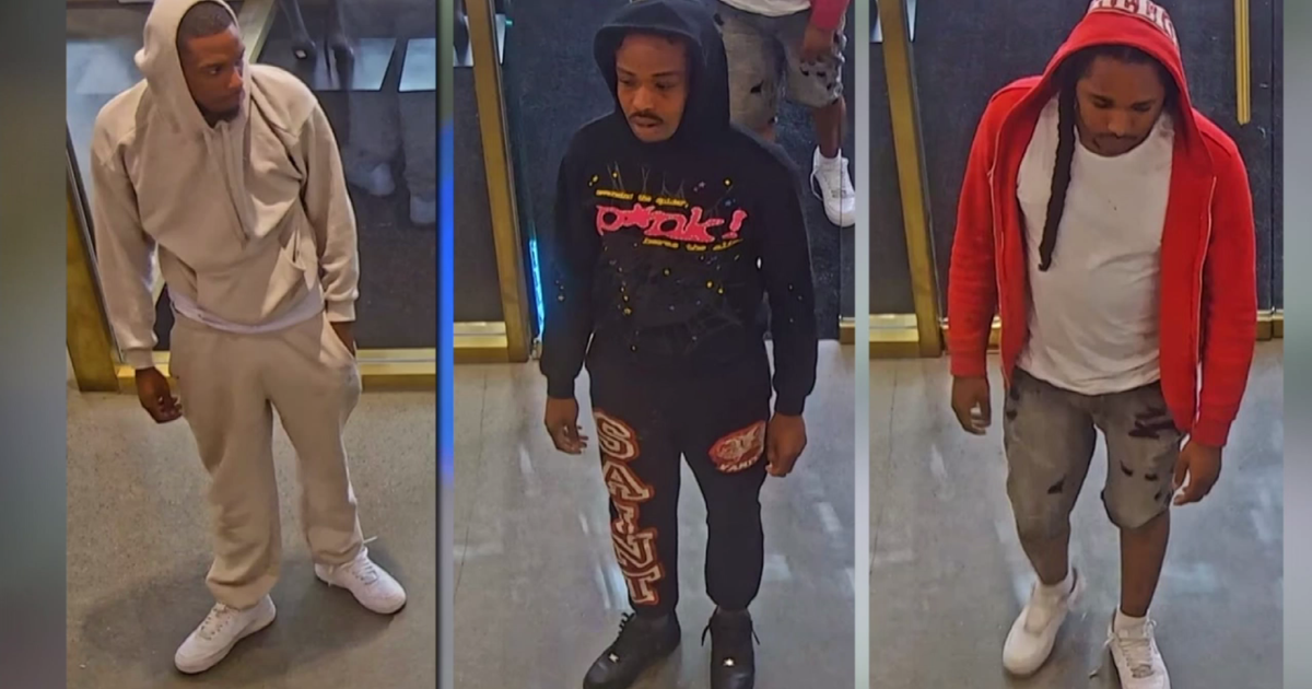 Police search for 3 suspects in grab-and-run theft at Alo Yoga at Oakbrook Center Mall 