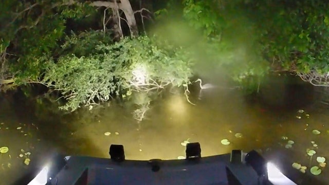 Oakland County authorities rescue blue heron from lake 