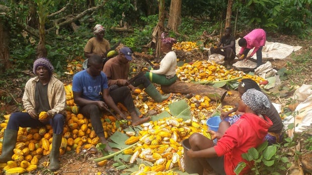 group-work-on-the-farm.jpg 