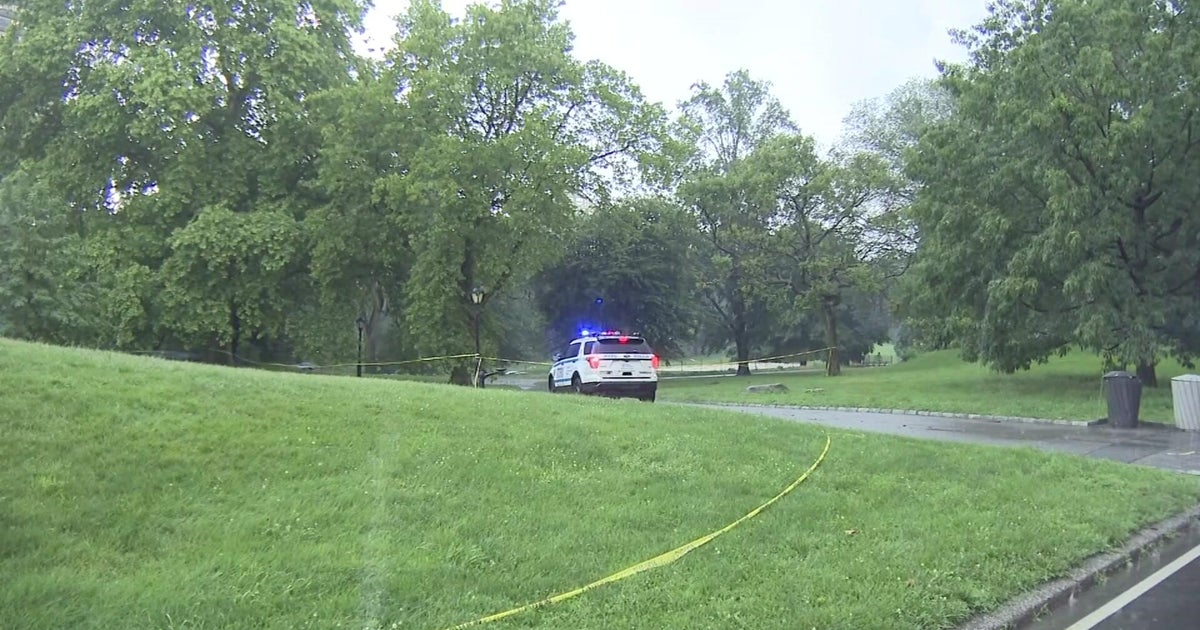 ⚡️Shocking! Teenager Struck by Lightning in Central Park During NYC Thunderstorm