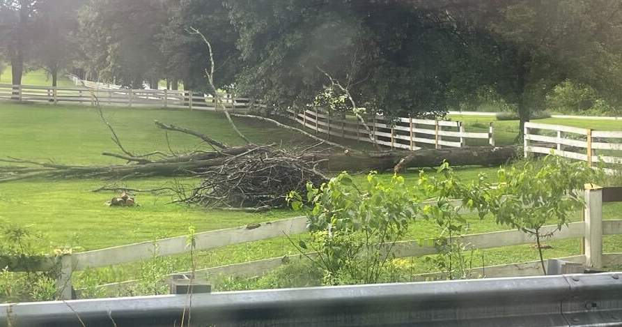 Damaging Maryland storms knock out power, take down trees and power lines 