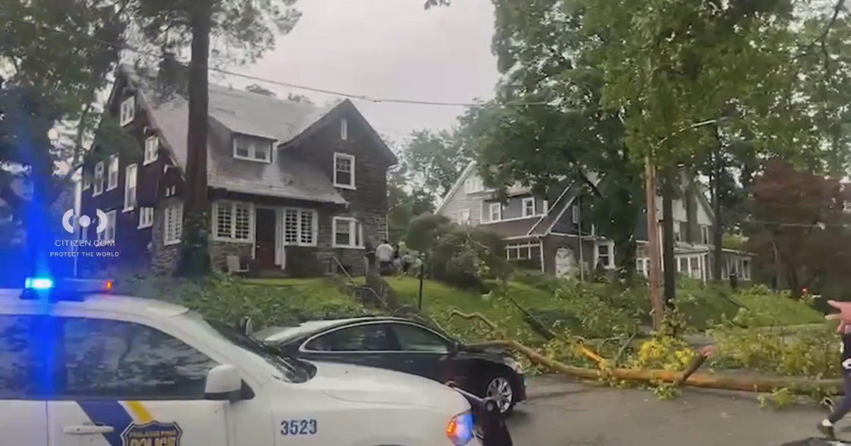 Child injured after tree falls in East Oak Lane 