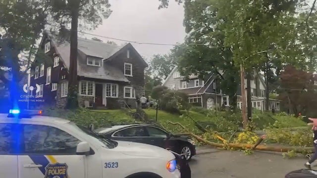 18vo-11th-street-tree-down-transfer-frame-1298.jpg 