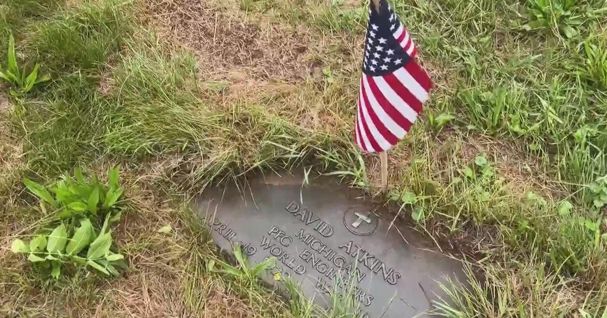 Volunteers clear overgrowth at historically Black cemetery in Ypsilanti 