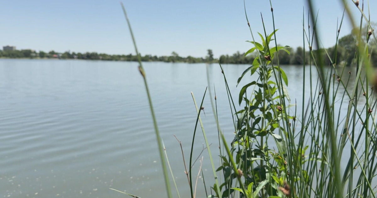 Residents in Denver's Sloan's Lake neighborhood hoping for funding for lake cleanup 