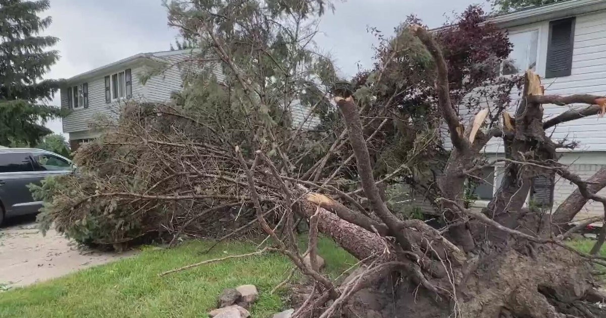 Fraser residents continue cleanup efforts after tornado - CBS Detroit