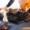 Plastic bag regulations have led to significant decrease in shoreline litter, study finds