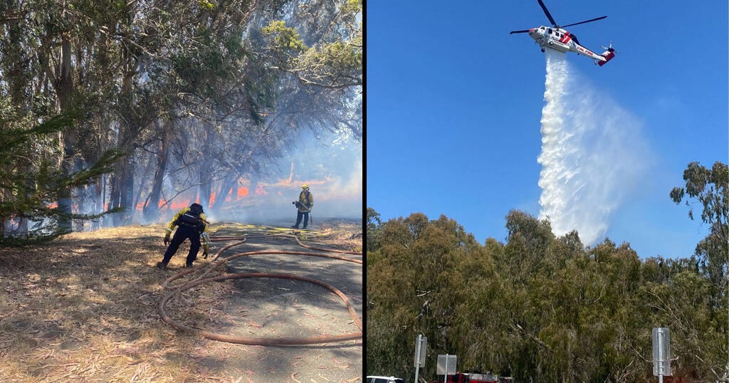 Fire at Natural Bridges State Park in Santa Cruz sparked by cooking, firefighters say 