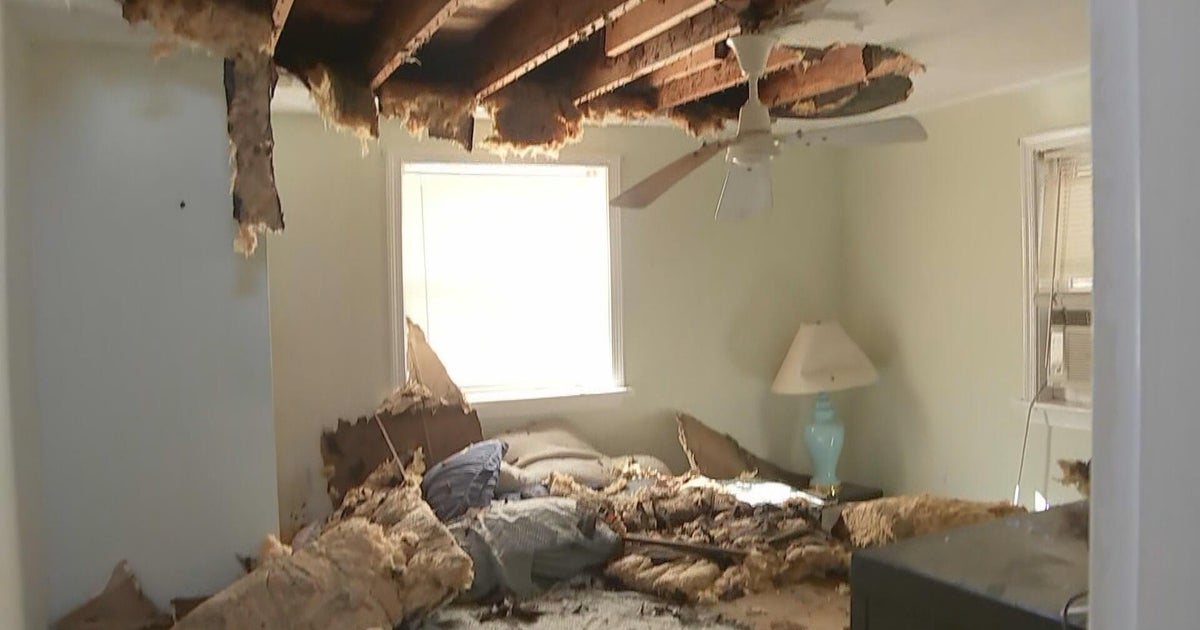 Philly area storms damage homes and cars, knock down trees 
