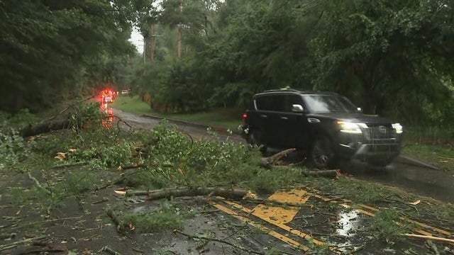 providence-road-delco-trees-down-raw-061925-frame-7261.jpg 