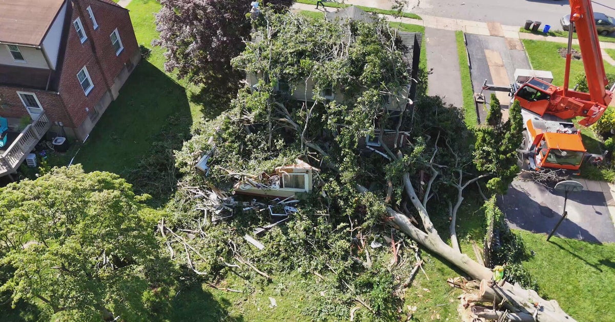 Tree crashes into home in Upper Darby during storm, trapping woman inside 