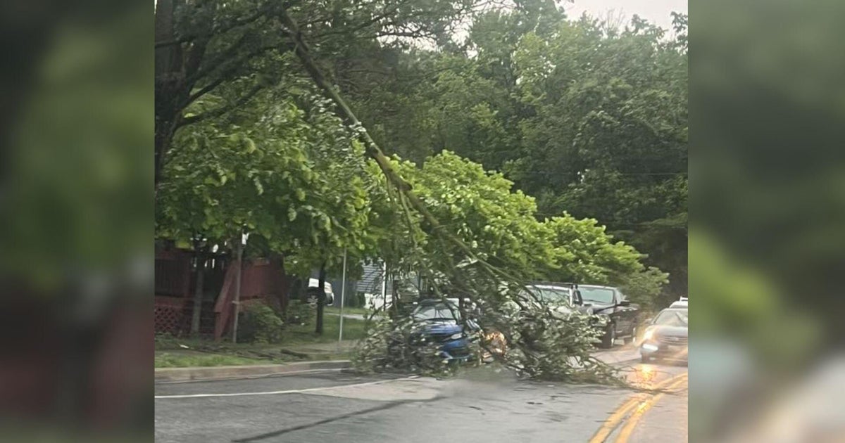 Damaging Maryland storms knock out power, take down trees and power lines 