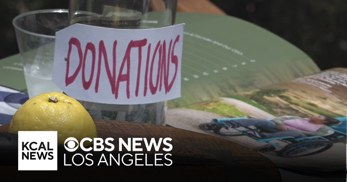 Tustin girl sells lemonade to buy wheelchairs for those in need CBS(02)