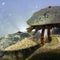 Nature: Horseshoe crabs in Maine